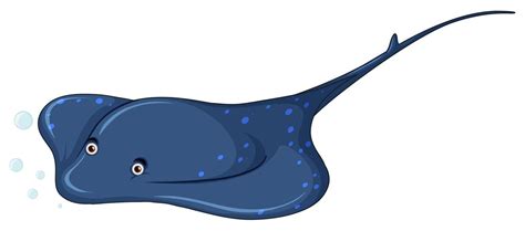 A stingray on white background 519149 Vector Art at Vecteezy