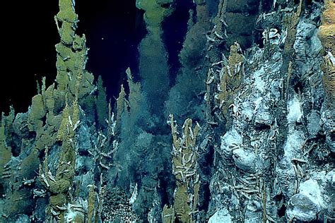 Hydrothermal vent mining, Japan experiments the new frontier threatening our oceans - LifeGate