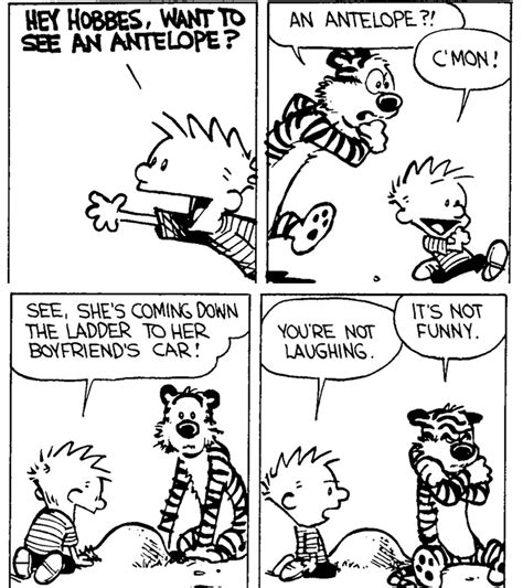 Best Calvin And Hobbes, Calvin Und Hobbes, Calvin And Hobbes Quotes, Calvin And Hobbes Comics ...