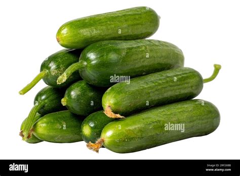 Cucumber isolated on white background. Fresh raw cucumber harvest ...