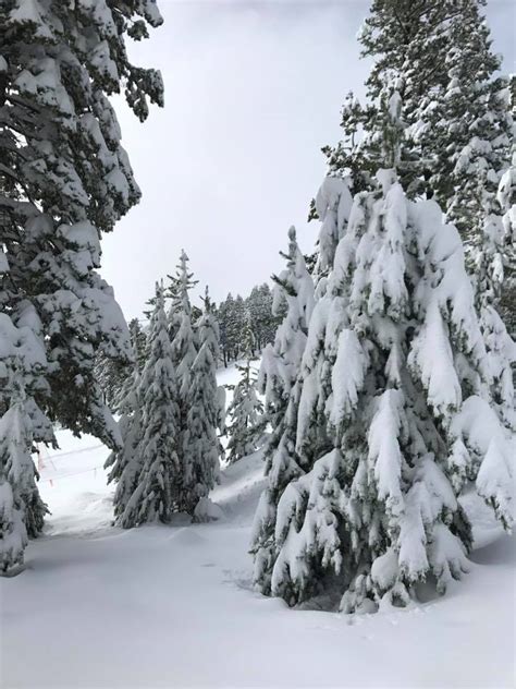 NOAA: More Snow Forecast in Montana Today & Tomorrow | Snow Levels Down ...