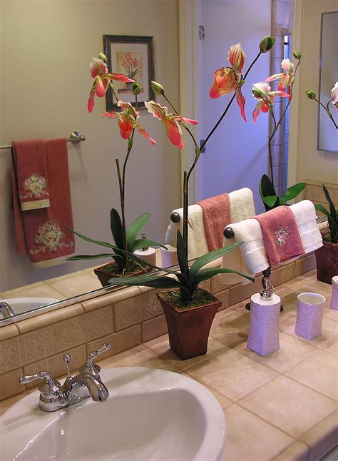 When and How Orchids Bloom | Orchid Care Zone