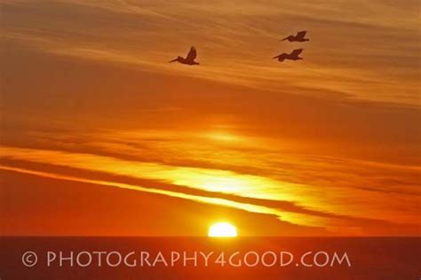 Miramar Beach sunset | Miramar beach, Beach sunset, Miramar