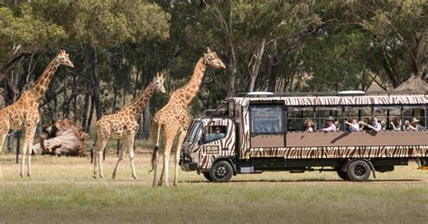 Savannah Safari | Taronga Conservation Society Australia