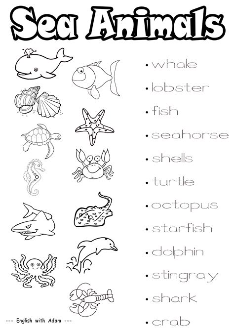 Sea Animal Printables