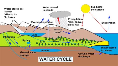 11+ Water Cycle Diagram In PNG | Kunne Diagram