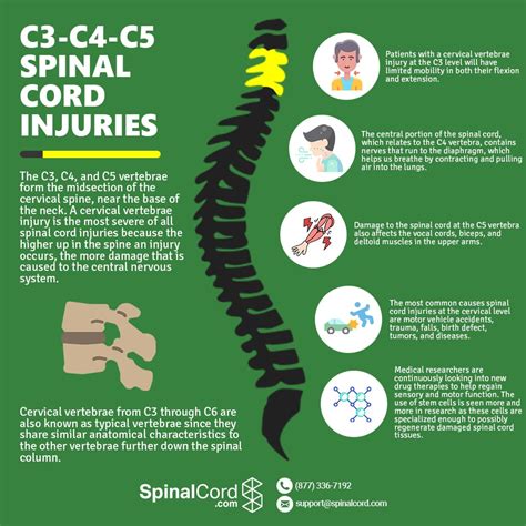 C3, C4, & C5 Vertebrae Spinal Cord Injury | SpinalCord.com