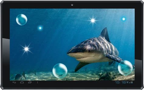 🔥 [46+] Shark Attack Wallpapers | WallpaperSafari