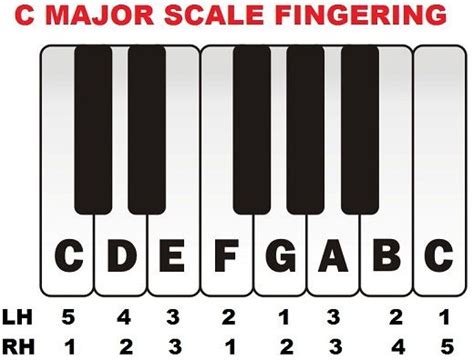 C major scale piano fingering | Piano scales, Learn piano, Piano