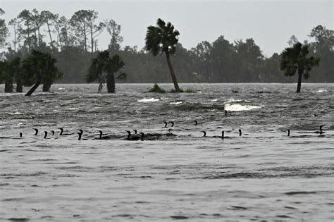 Photos: See the aftermath of Hurricane Idalia | NCPR News