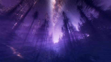 Purple Forest Wallpapers - 4k, HD Purple Forest Backgrounds on WallpaperBat