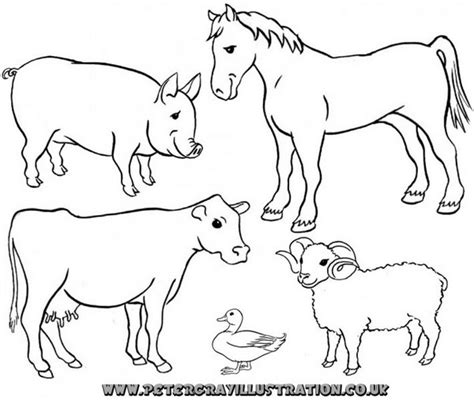 Clipart Black And White Farm Animals