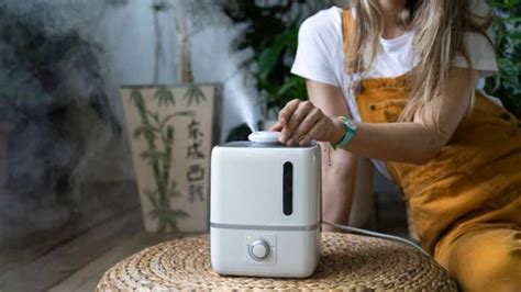 9 Best Humidifiers For Plants: Top Picks and Expert Tips 2024