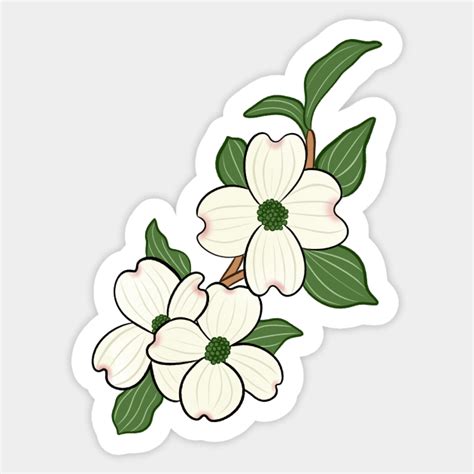 Flowering Dogwood North Carolina State Flower - Flowering Dogwood ...