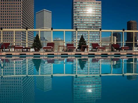 Rooftop Hotel Pools With Amazing Views | Hotel pool, Denver hotels, Hotel