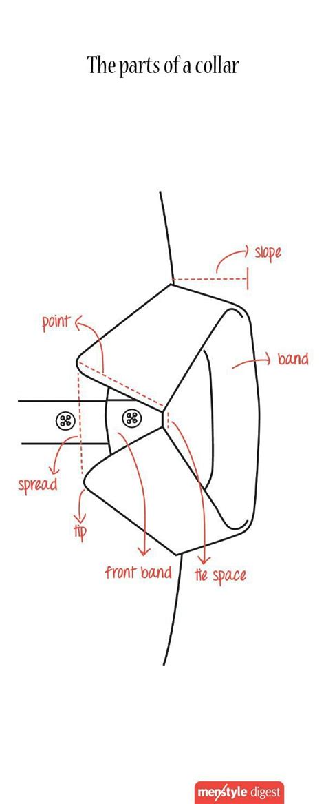 Parts of collar | Мужчины, Мужской костюм, Мужская мода