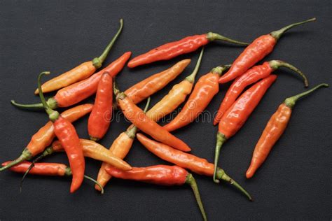 Cayenne Pepper or Cabe Rawit in Indonesia on Blackc Isolated Background Stock Photo - Image of ...