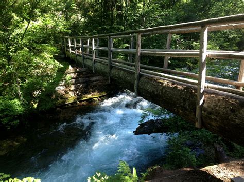 Ride Report: McKenzie River Trail, Oregon - Singletracks Mountain Bike News