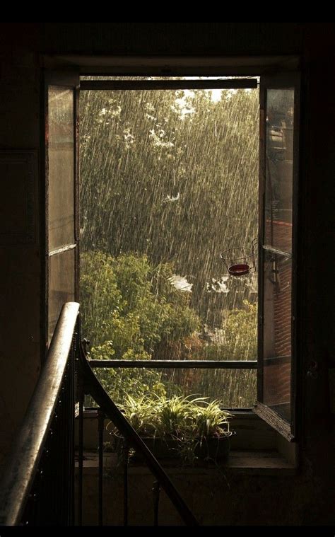 Pin by amama on home decor | Rainy day aesthetic, Nature aesthetic ...