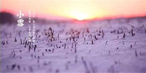 小雪吃啥,小雪吃,小雪吃刨汤(第11页)_大山谷图库