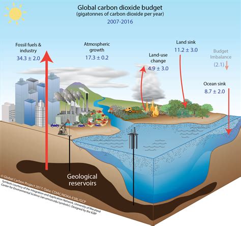 [DIAGRAM] Diagram Of The Carbon Cycle - MYDIAGRAM.ONLINE