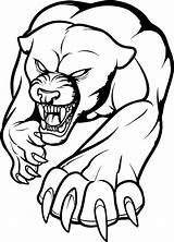 Fierce Panther Coloring Page  Free Printable Pages For Kids sketch template