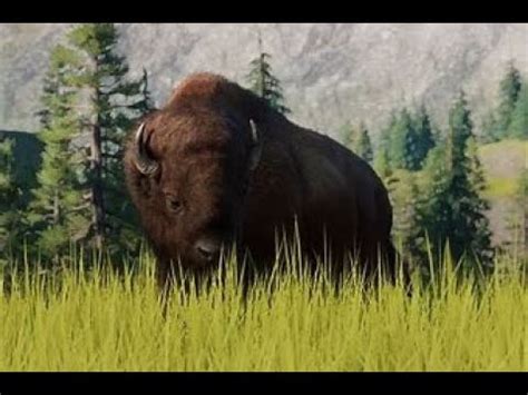 Capital Zoo #1 American Bison Habitat - Planet Zoo - YouTube