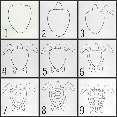 How To Draw A Turtle : Step By Step Guide