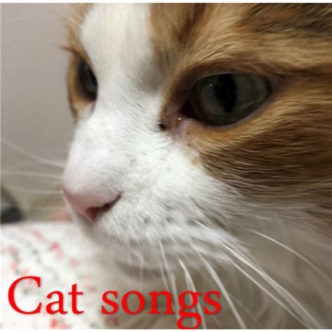 Cat songs - Album by CAT | Spotify