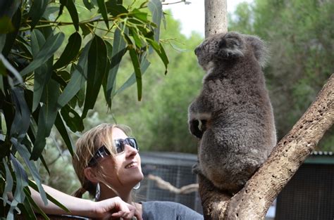 Kangaroo Island Wildlife Park - Travel Oz