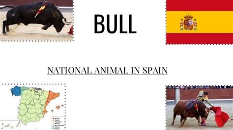 National animal in spain