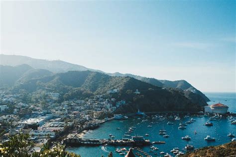 Catalina Island In February: Weather Info & Travel Tips for 2024 CA ...