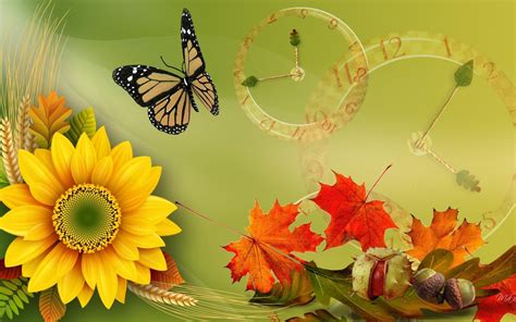 Sunflower For Fall HD desktop wallpaper : Widescreen : High Definition ...