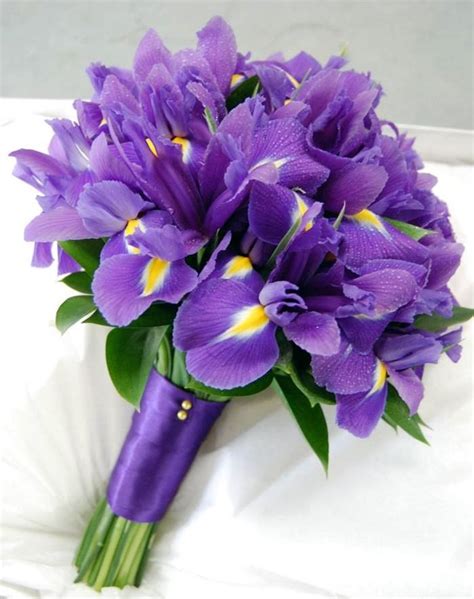 Awesome Iris Flower Bouquet 15+