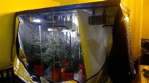 Best Complete Grow Tent Kit | 2020 Reviews - GrowYour420