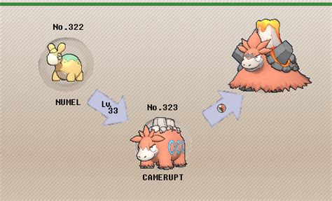 Pokemon Camerupt Evolution Chart