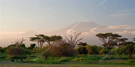 Kilimanjaro at Sunrise Stock Photo by ©ajn 32604683