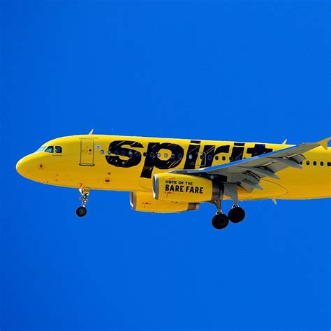 spirit-yellow - Travel Off Path