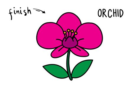 How To Draw a Beautiful Orchid - Beautiful Flower Easy Drawing Guides ...