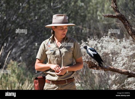 Australia, NT, Alice Springs. Alice Springs Desert Park. Park ranger ...