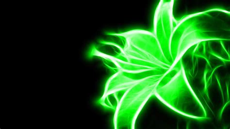 29 Neon Green Wallpapers - Wallpaperboat