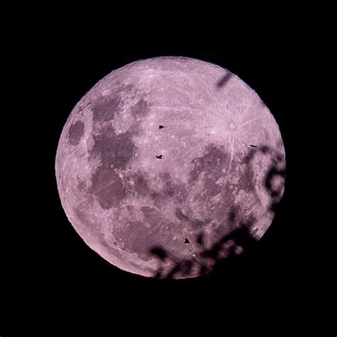 Every Full Moon Name in 2023: From Worm to Beaver Moon – Australian Research & Space Exploration