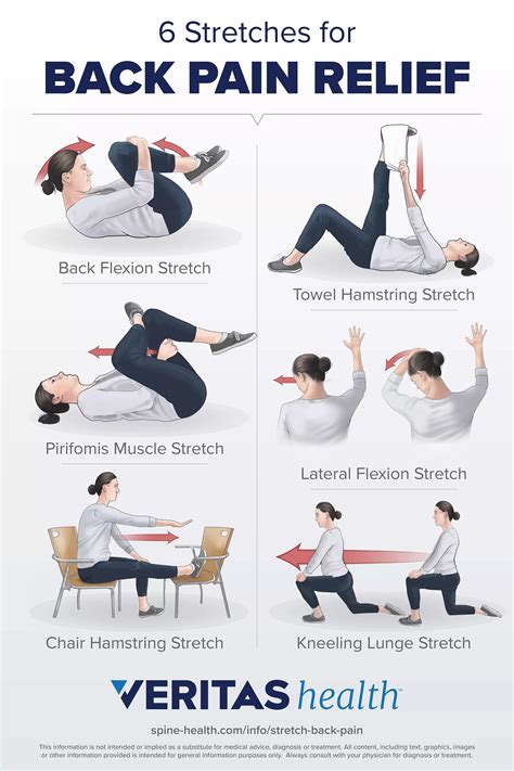 Exercise To Eliminate Lower Back Pain - Exercise Poster