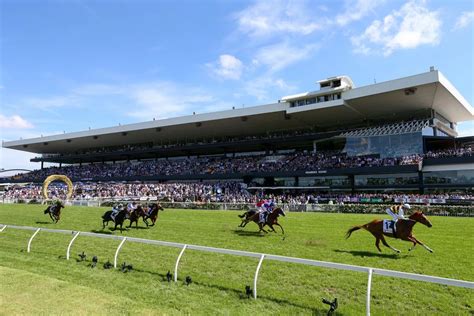 Best things to do when in Rosehill Racecourse, NSW – Pest Control West Pennant Hills