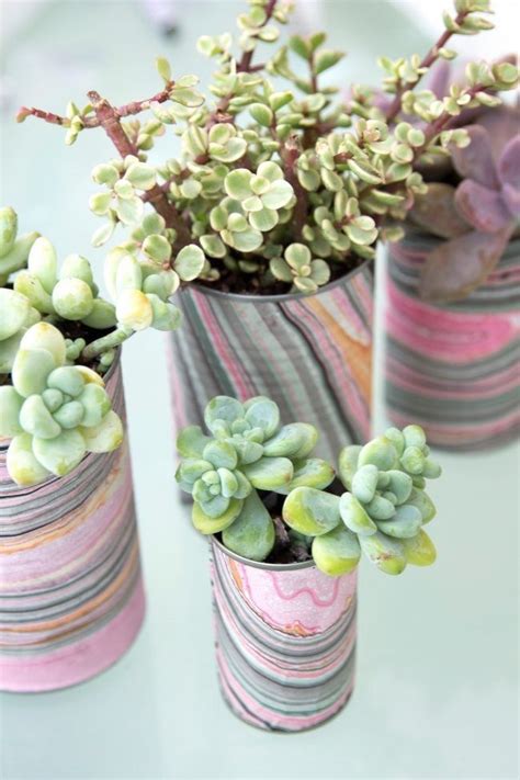 21 creative succulent container gardens you can buy or DIY, like this ...