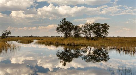 Okavango Unesco