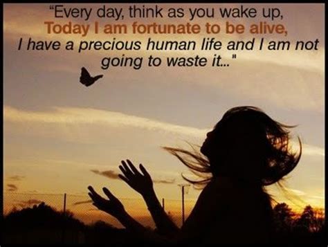 I Am Alive Quotes. QuotesGram