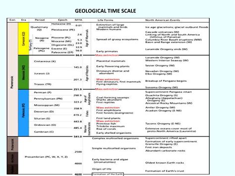 GEOLOGICAL TIME SCALE Fossilization - DocsLib