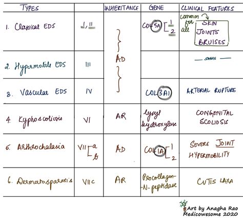 Medicowesome: Ehler-Danlos Syndrome (EDS) - High yield only