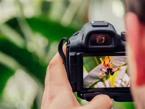 15 Best Online Photography Classes Guaranteed to Improve Creativity